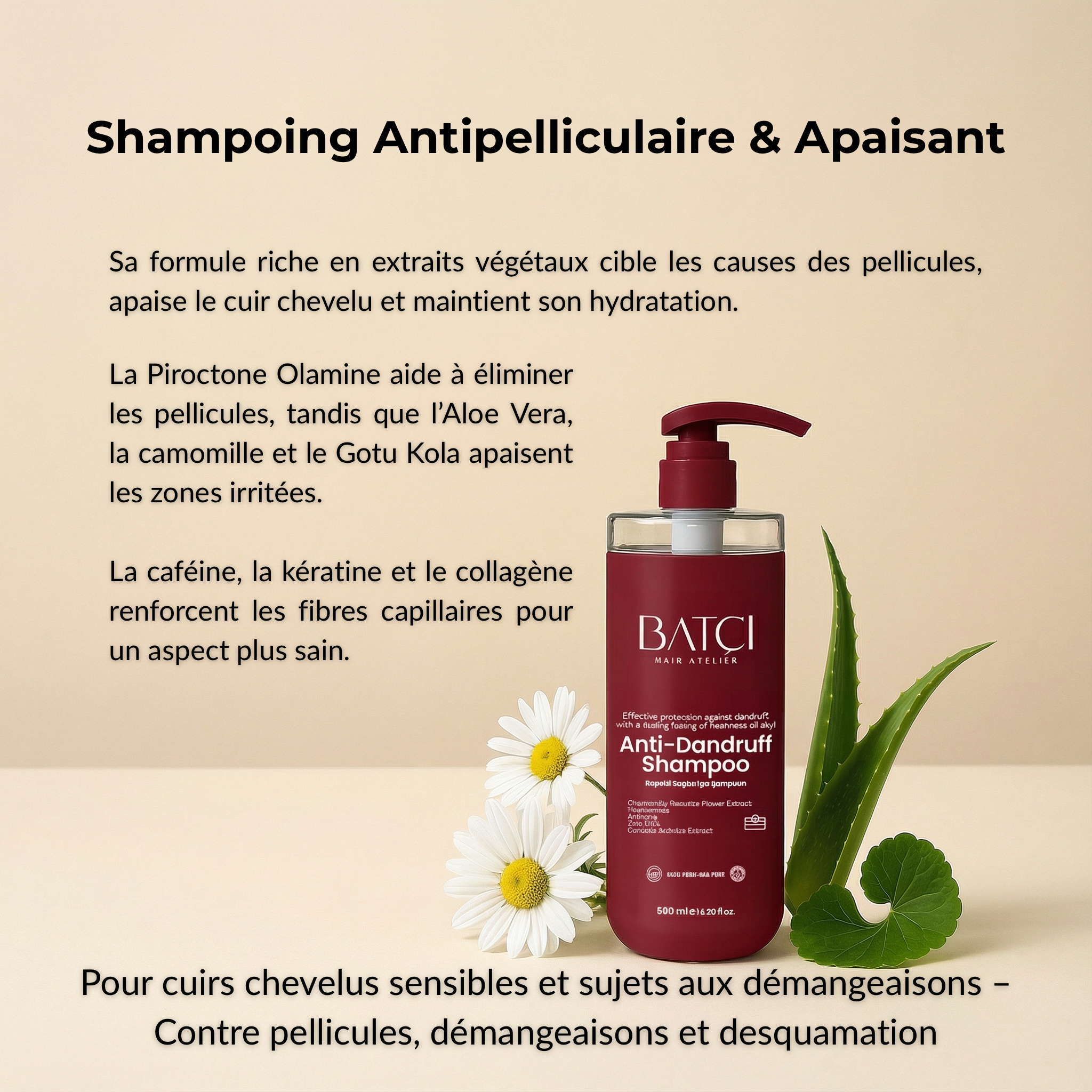 SHAMPOING ANTIPELLICULAIRE - 500 ML